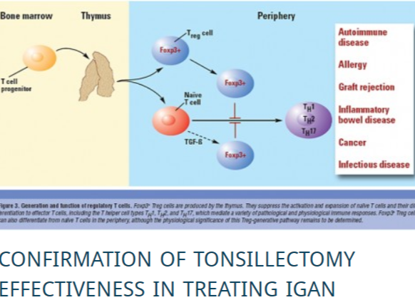 Tonsillectomy in IgA Nephropathy Treatment