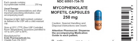 Advanced Stage IgAN Treatment With Mycophenolate Mofetil (MMF)