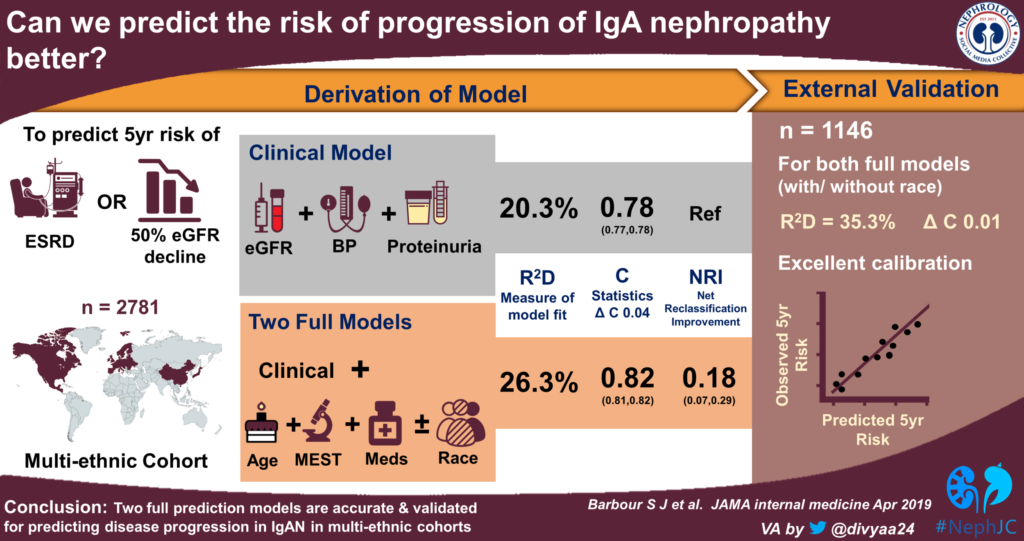 IgAN Thymus Immune System Role Fortified By IgG Auto-Antibody Finding